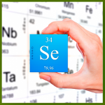 Селен и его значение для организма 